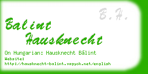balint hausknecht business card